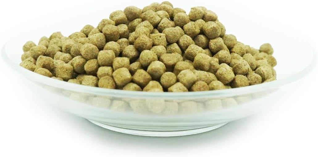 51aRvUp4s5L._AC_SL1500_.jpg