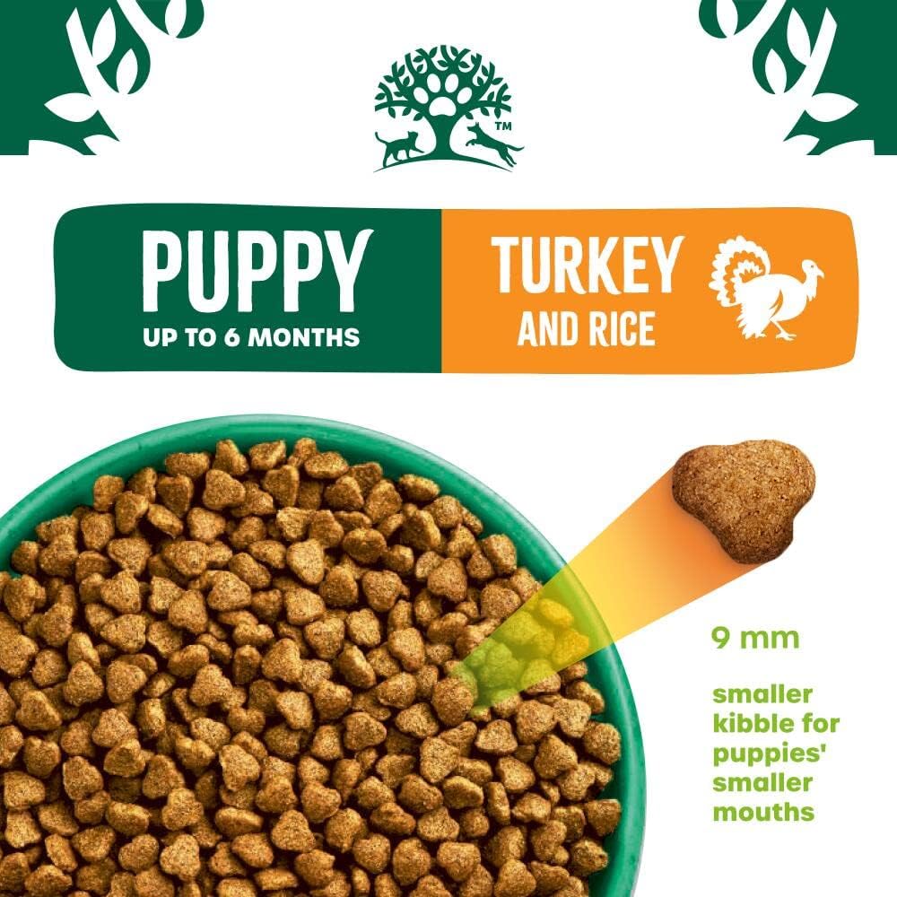 71yOykTCZPL._AC_SL1000_.jpg